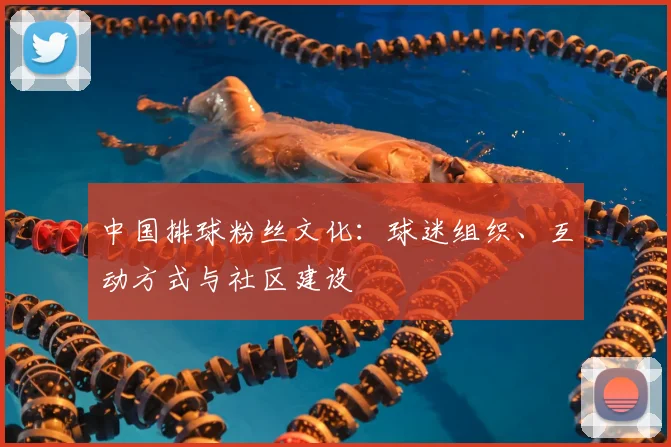 中国排球粉丝文化:球迷组织、互动方式与社区建设