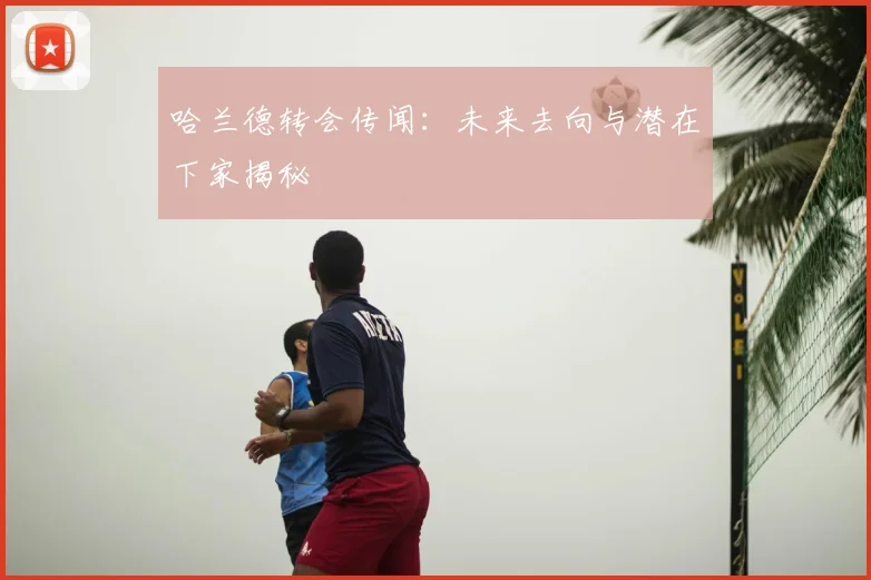 哈兰德转会传闻:未来去向与潜在下家揭秘